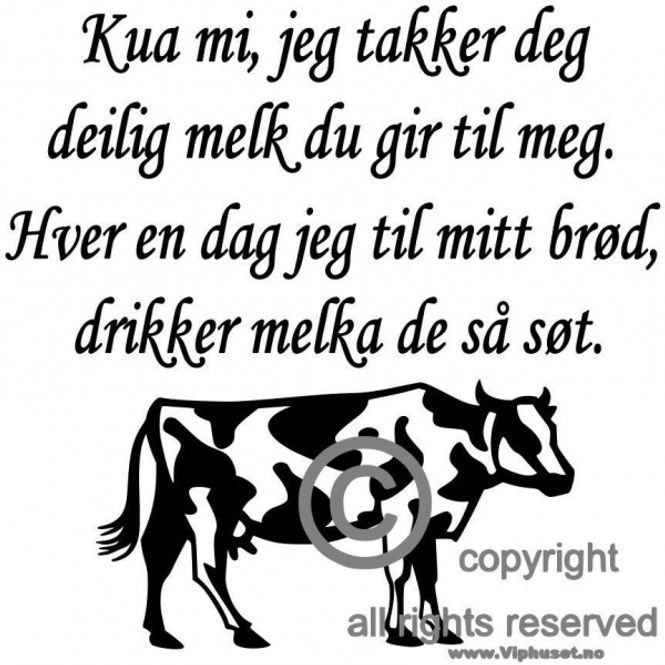 Hovedbilde Kua mi , jeg takker