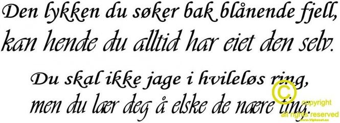 Hovedbilde Den lykken du søker