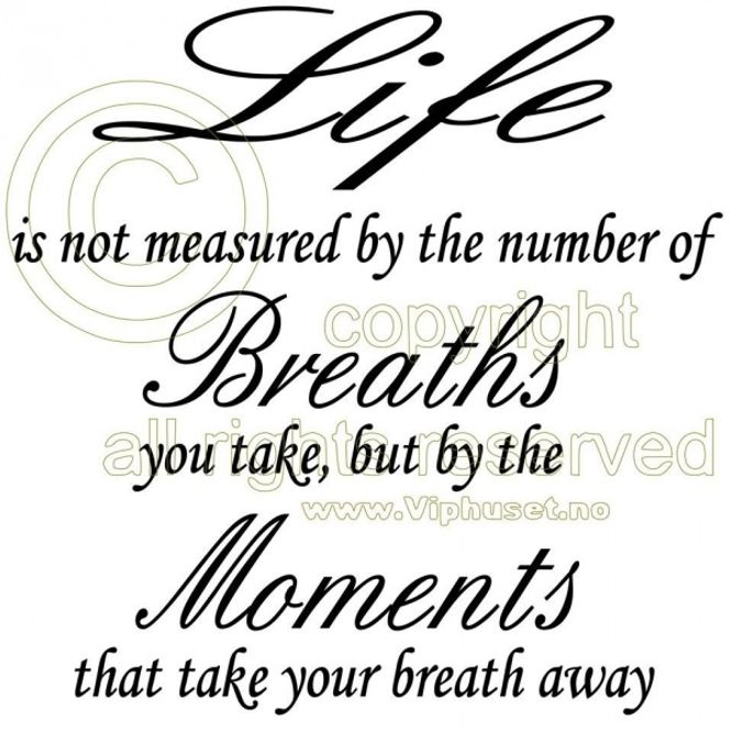 Hovedbilde Life is not measured 2