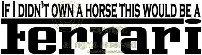 Hovedbilde If i didnt own a horse