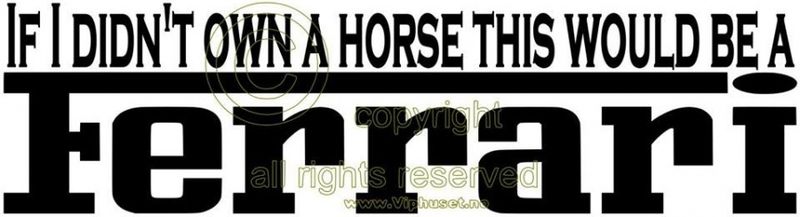 If i didnt own a horse