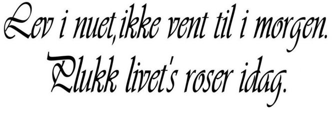Hovedbilde Lev i nuet