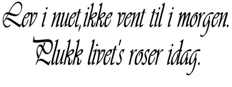 Lev i nuet