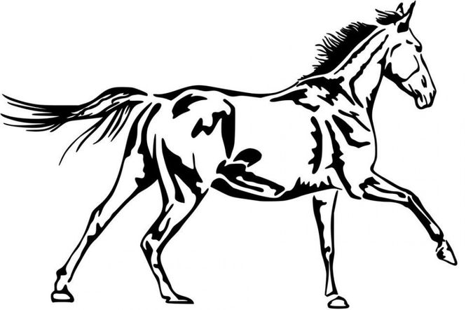 Hovedbilde Hest