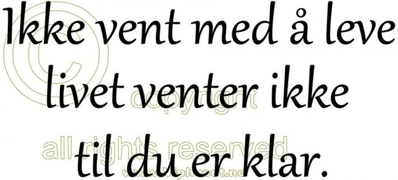 Ikke vent med å leve2