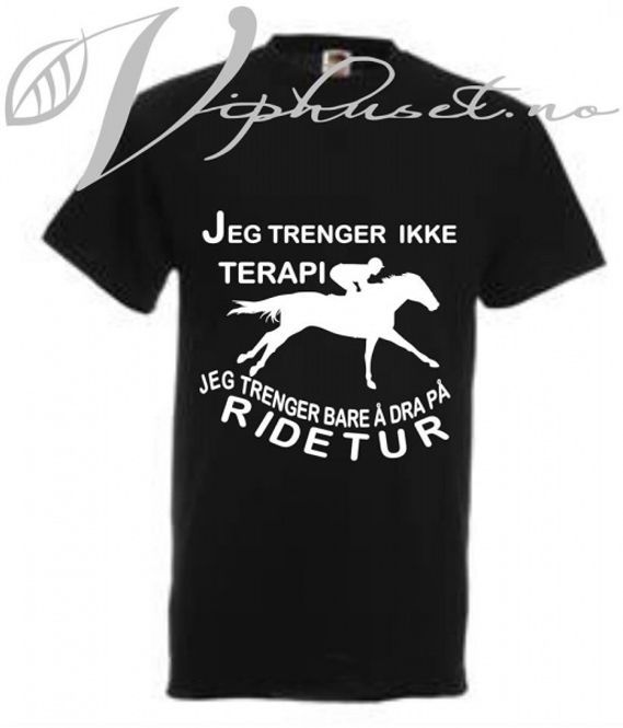 Hovedbilde Terapi ridetur