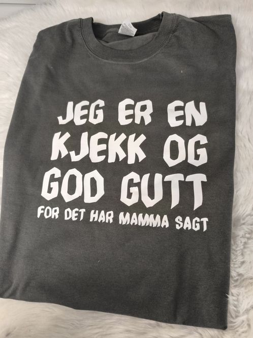 Hovedbilde Jeg er en kjekk og god gutt 