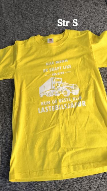 Hovedbilde Lastebilsjåfør (s)