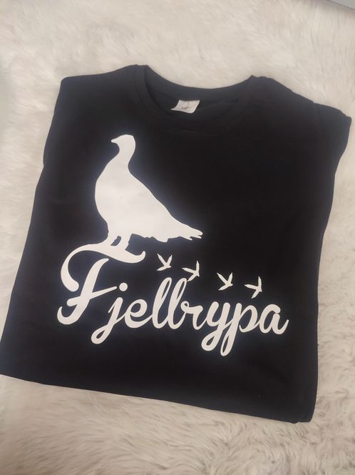 Hovedbilde Fjellrypa 